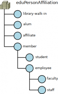 Grafické schéma atributu eduPersonAffiliation