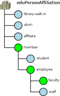 Grafické znázornění atributů pro (učícího) zaměstnance