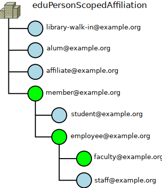 scopedaffiliation-example-faculty.png