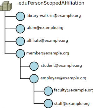 Grafické schéma atributu eduPersonAffiliation